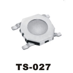 TS-027