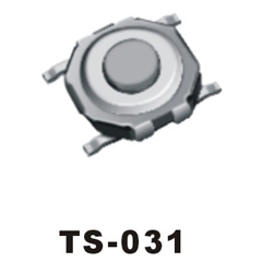 TS-031